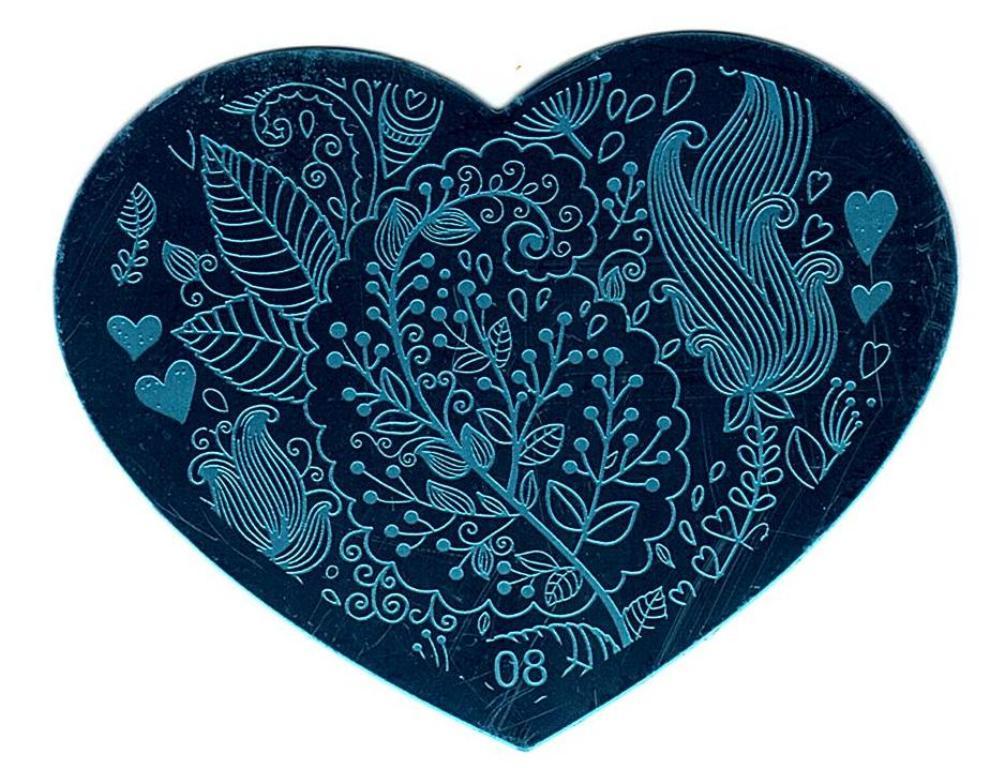 5 Pack Nail Art Stamping Plates Set Heart Design Manicure Tools