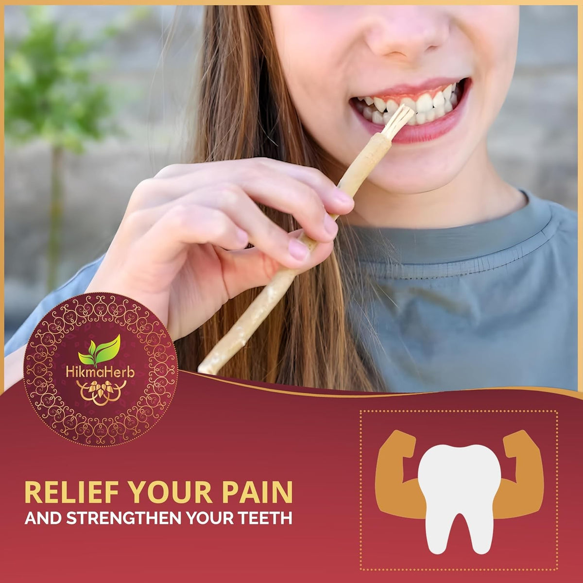 Natural Chewing Sticks with Holder - Pack of 3 Salvadora Persica Miswak