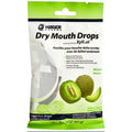 Xylitol Dry Mouth Drops with Melon Flavor - Sugar-Free Oral Care, 2 oz
