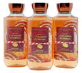 Set of 3 Bath & Body Works Sweet Cinnamon Pumpkin Body Wash 10 oz