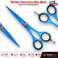 Professional Hair Cutting Scissors 6.5 Inch German Stainless Steel Shears