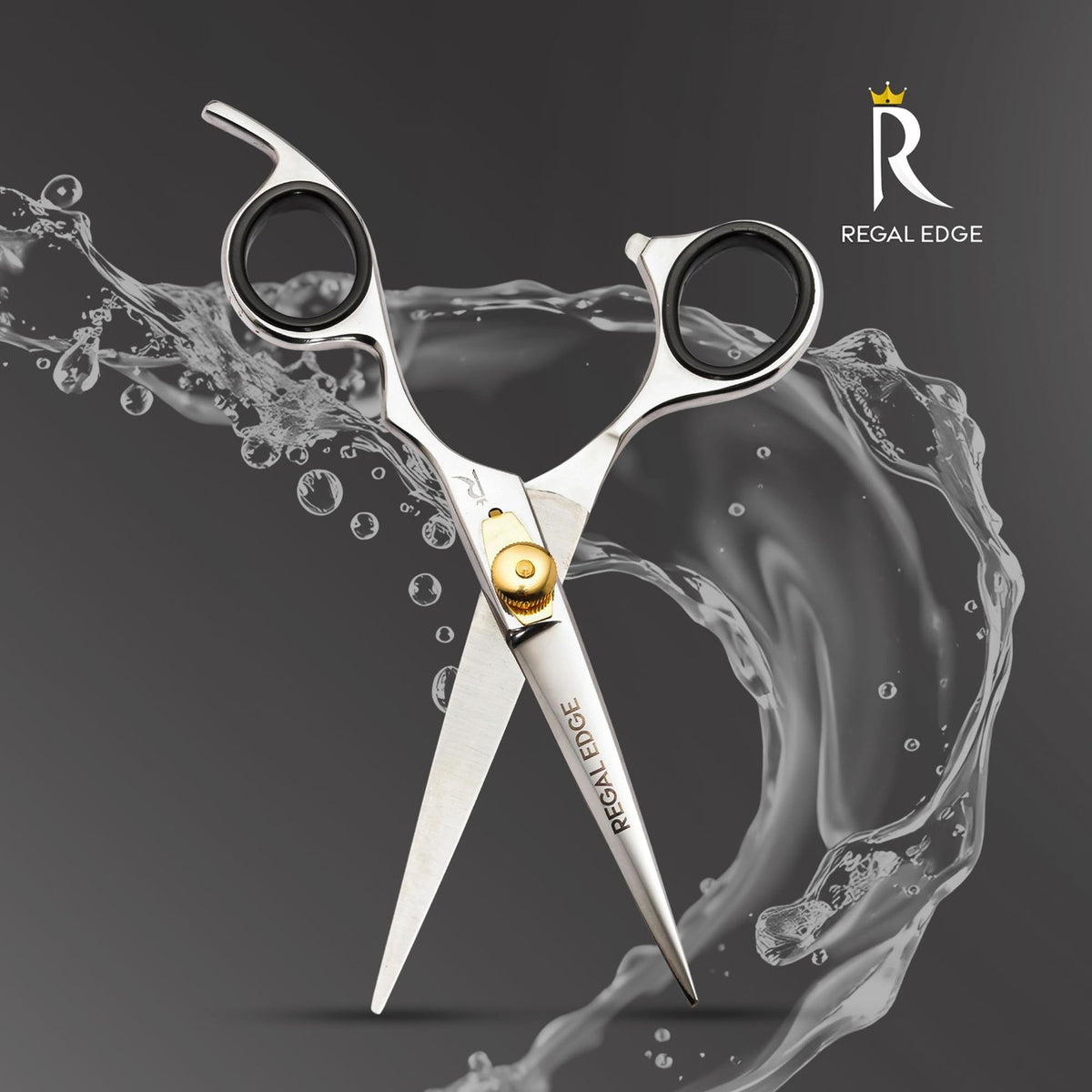 6.5-Inch Japanese Stainless Steel Professional Hair Cutting Scissors with Golden Tension Screw