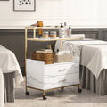 Salon SPA Trolley Cart with Lockable Wheels and Ample Storage