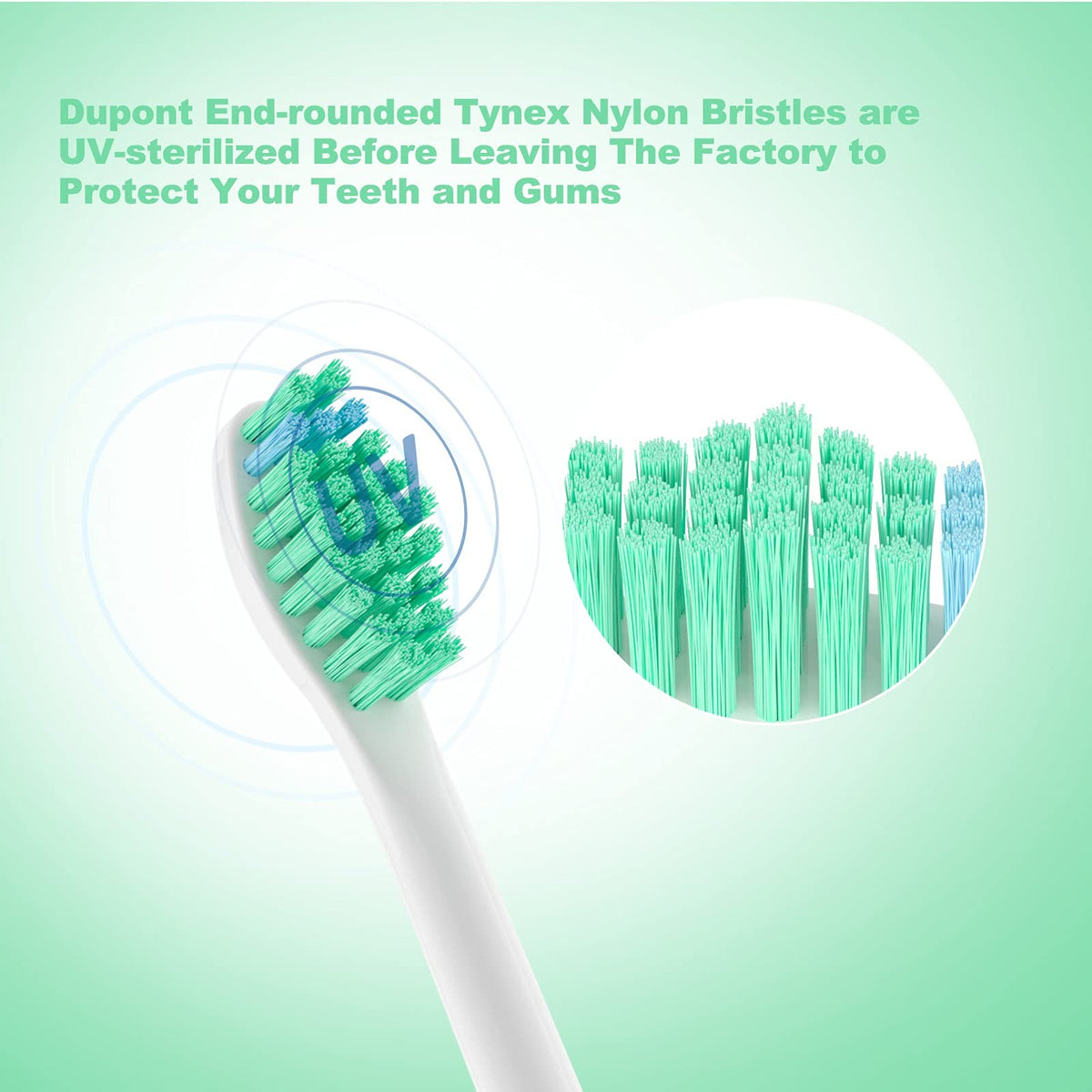 Replacement Toothbrush Heads for Philips Sonicare E-Series Essence 6-Pack