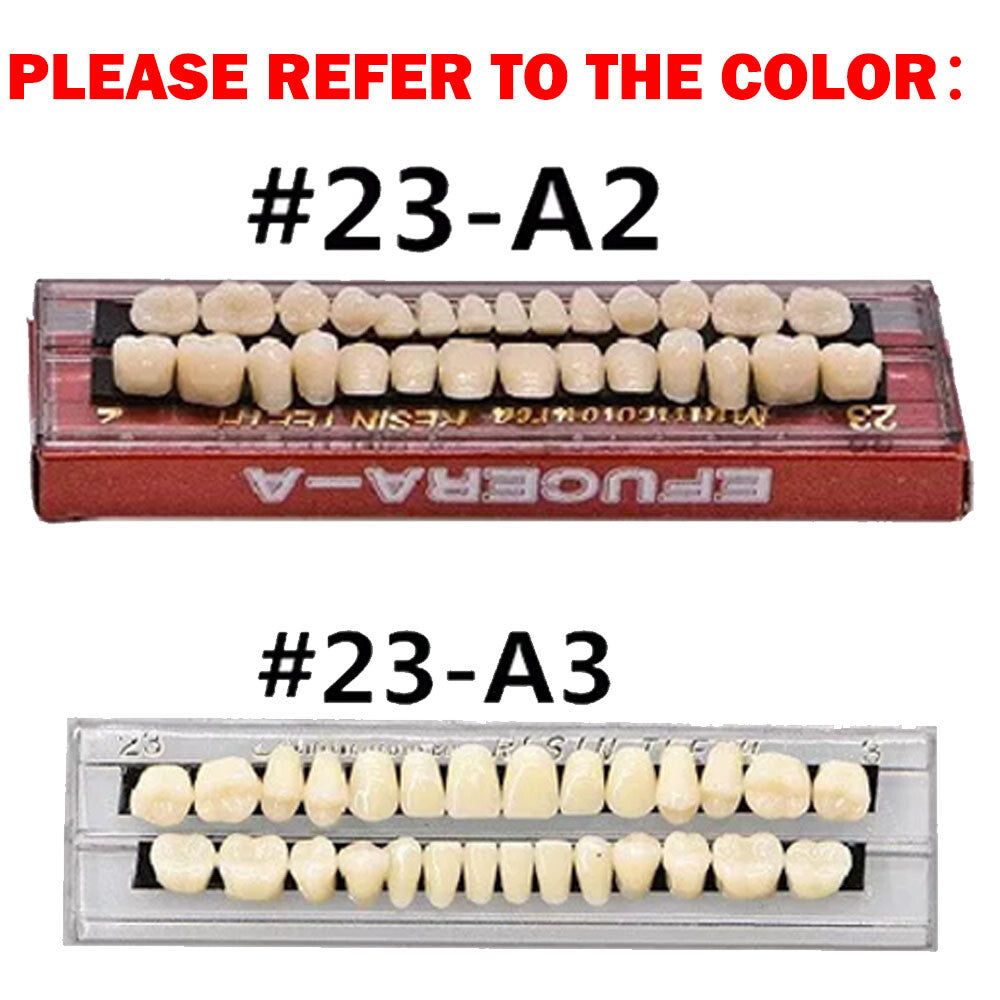 Dental Acrylic Resin Denture Set for Upper and Lower Teeth - Multiple Shades