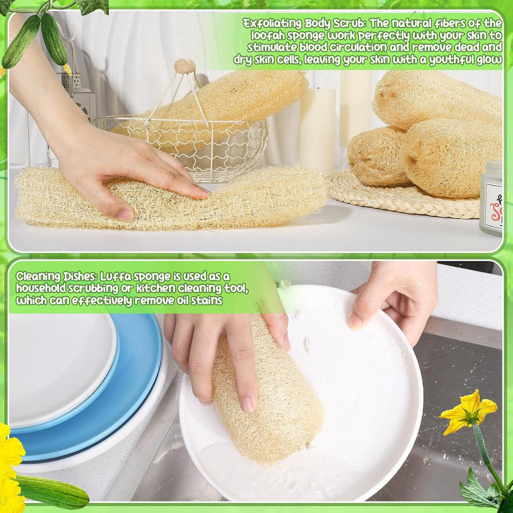 Natural Loofah Sponges 11.8-Inch 6-Pack, Organic Bath & Body Exfoliator