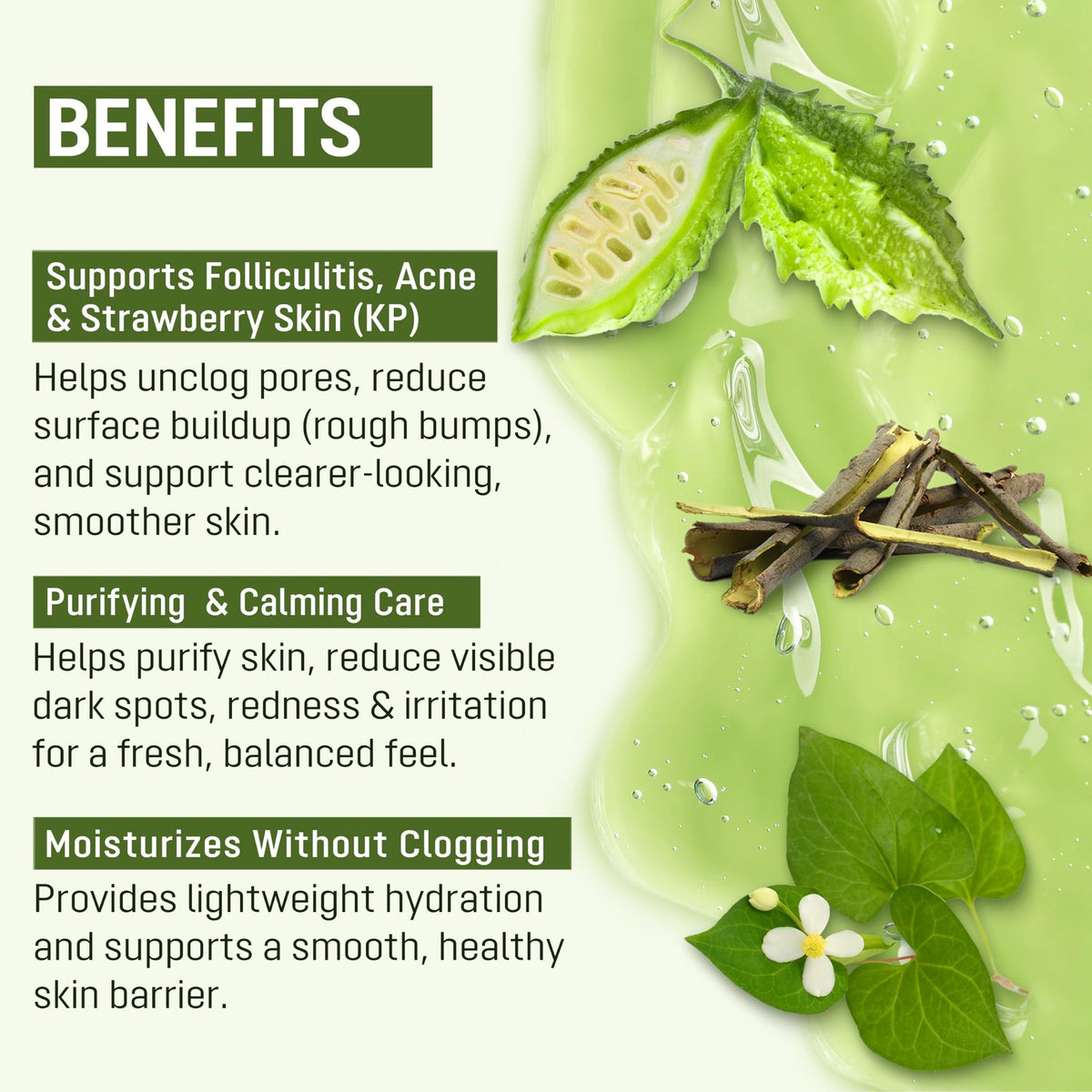 Folliculitis Body Wash with BHA & Wild Bitter Melon – Gentle Skin Clarifying Gel