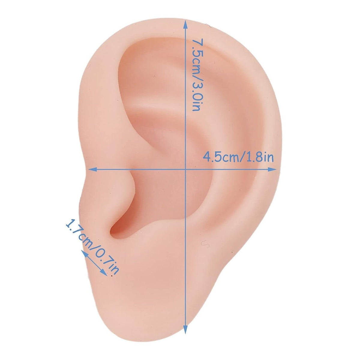 Silicone Ear Model - Realistic Practice Ear for Piercing Training, Reusable