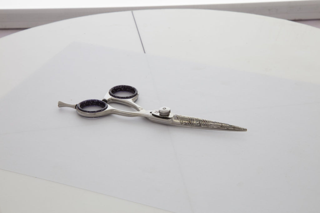 Professional 5.5 Inch Japanese Stainless Steel Hair Cutting Scissors with Convex Edge