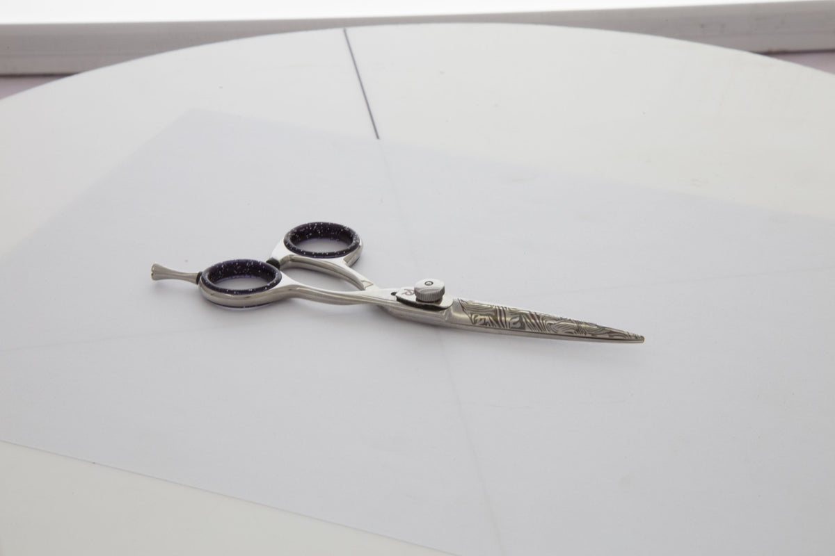 Professional 5.5 Inch Japanese Stainless Steel Hair Cutting Scissors with Convex Edge