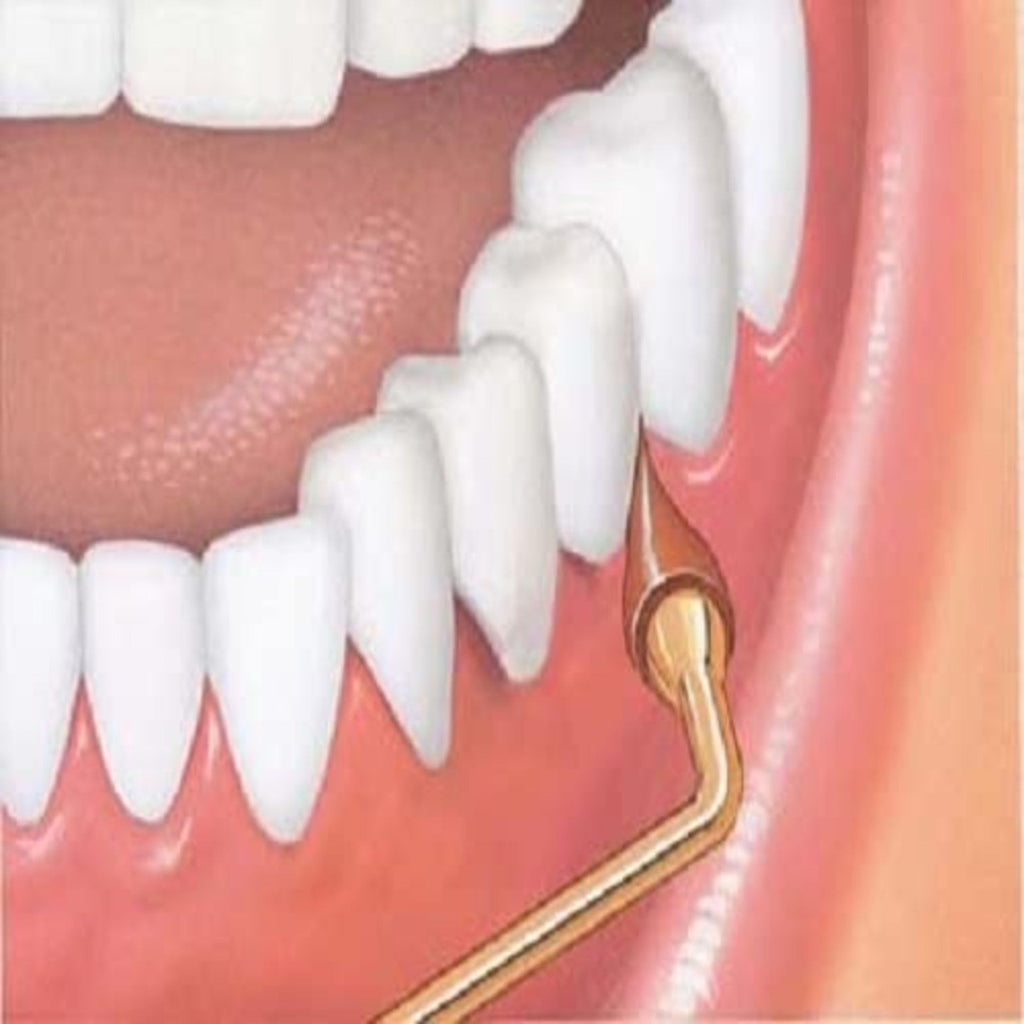 GUM Stimulator with Rubber Tip and Long Handle for Gum Massage and Oral Care