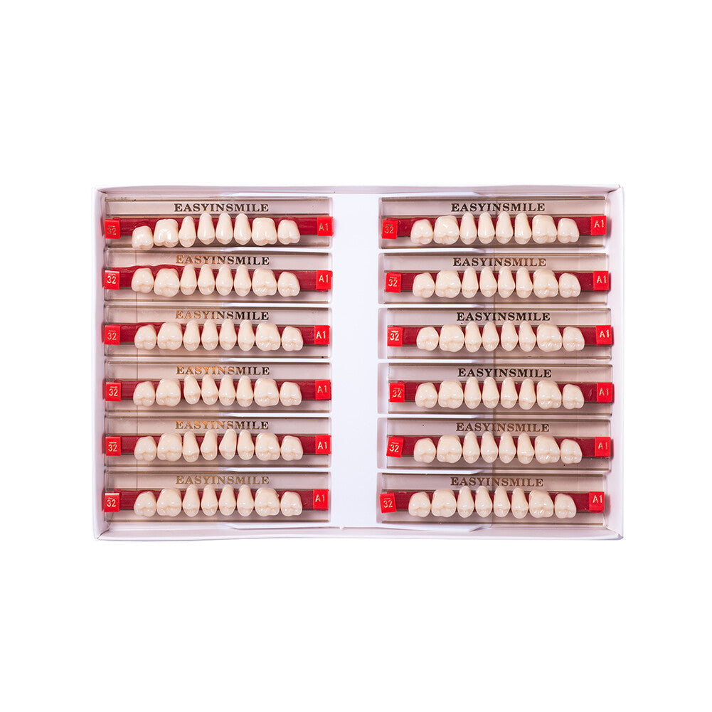 Dental Acrylic Resin Denture Teeth Full Set for Upper & Lower - Shade A1/A2/A3