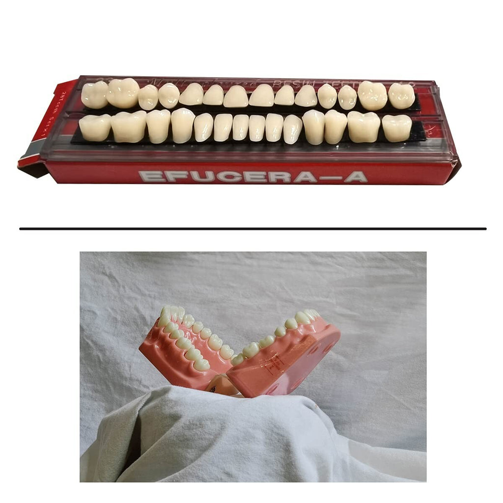 56 Pcs Acrylic Resin Dental Denture Teeth Set - Complete Upper & Lower