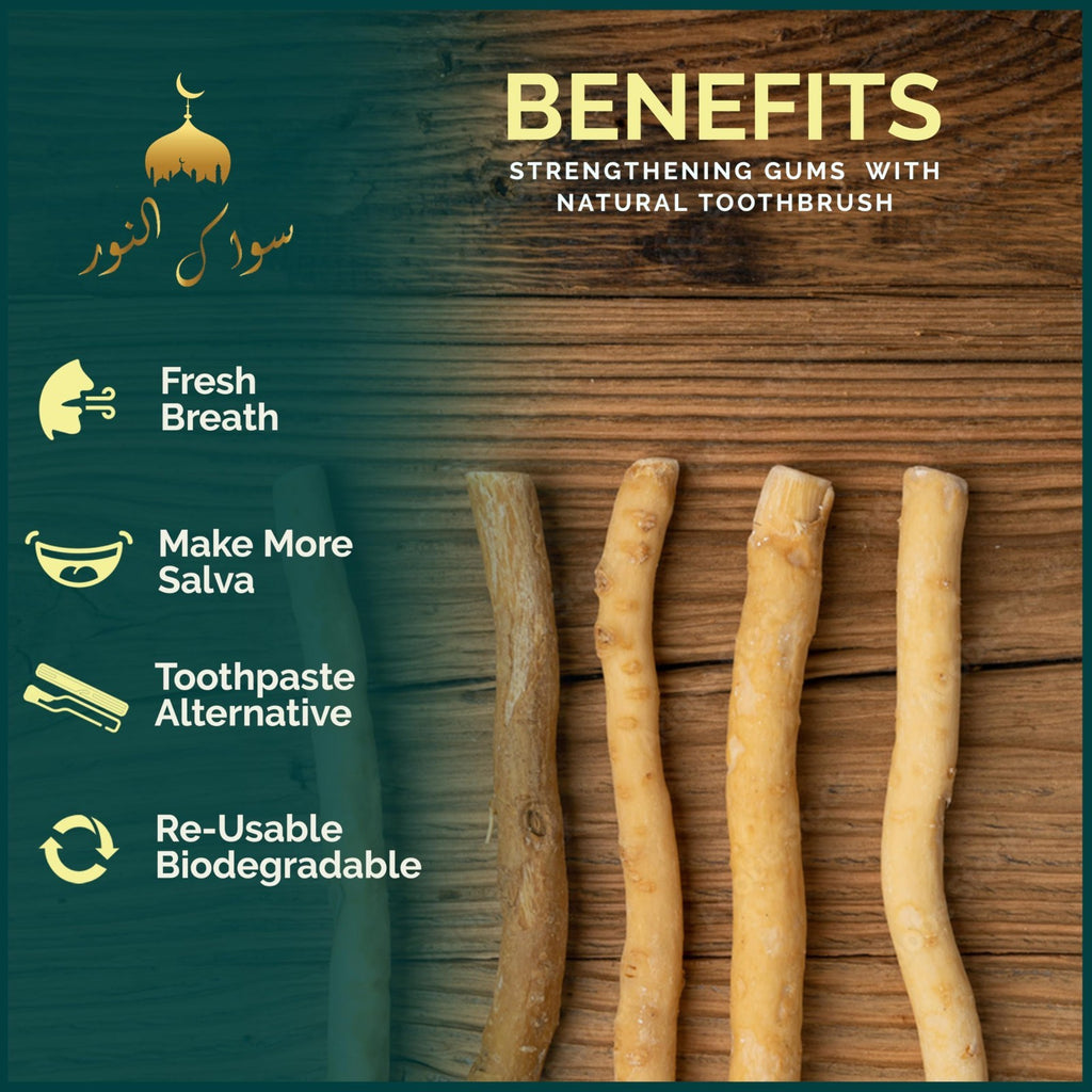 Natural Miswak Tooth Sticks with Holder - Organic Oral Care Set, Pack of 12