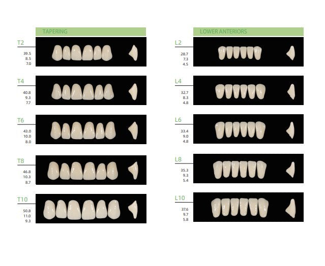 Dental Acrylic Resin False Teeth Set for Dentures - 28Pcs, Multiple Models & Quantities