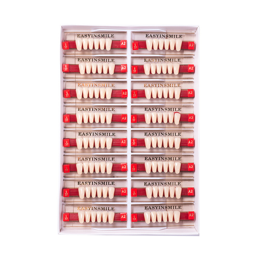 Full Set Acrylic Resin Dental Teeth for Dentures - Anterior & Posterior