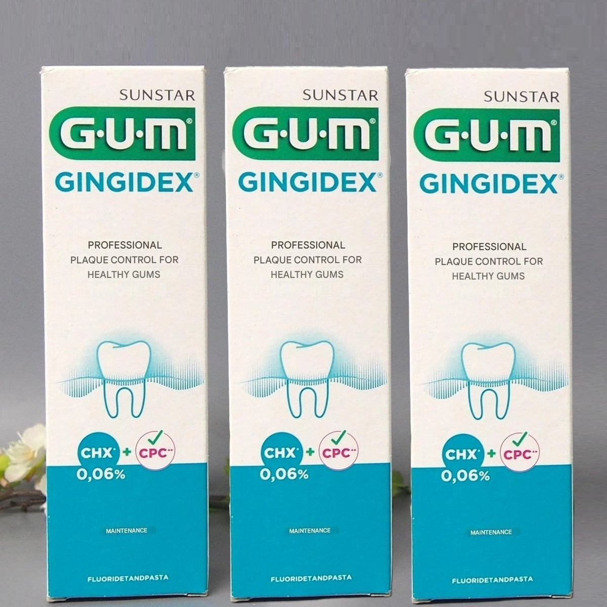 Gum Toothpaste for Sensitive Gums - 3 Pack 75ml with Anti-Plaque Formula