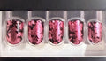 Pink Black Short Square Press On Nails for Birthday & Party - Bryton