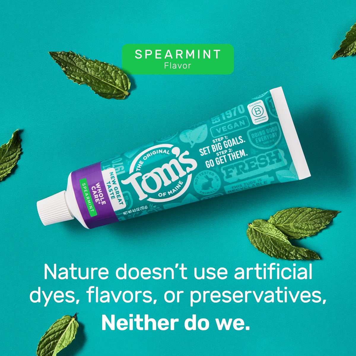 Whole Care Fluoride Toothpaste with Spearmint - 3 Pack 4 oz