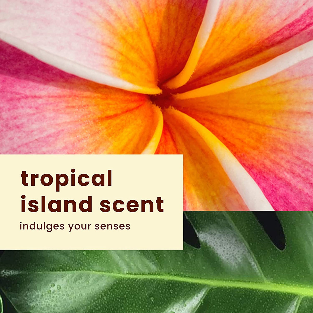 Weightless Sunscreen Lotion with Hydrating Botanicals - 6 Fl Oz