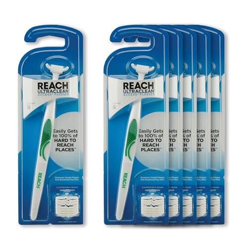 Dental Flosser Starter Kit with Refillable Heads and Assorted Flavors