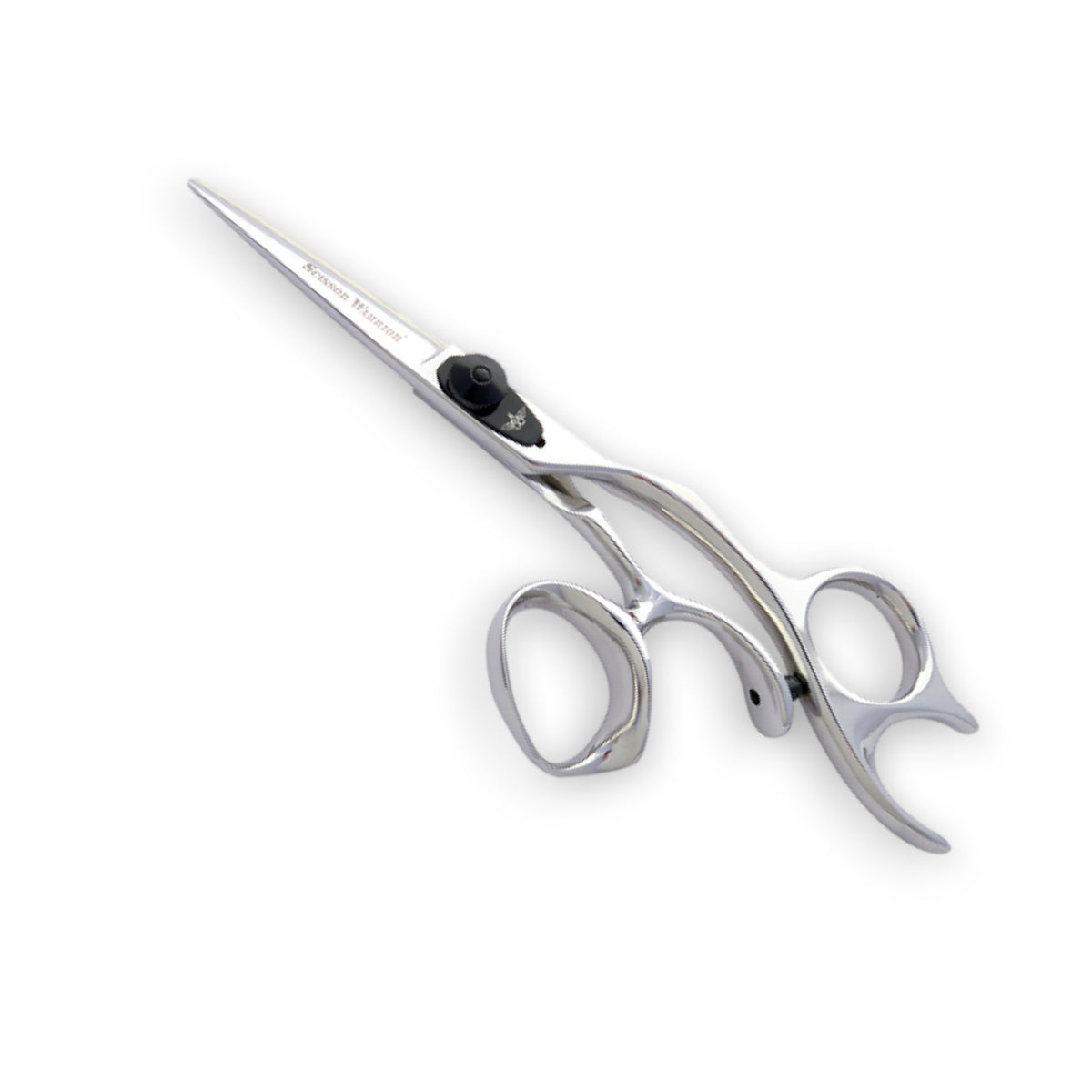 Professional Hair Cutting Shears - Ergonomic Handle, Stainless Steel, Multiple Sizes