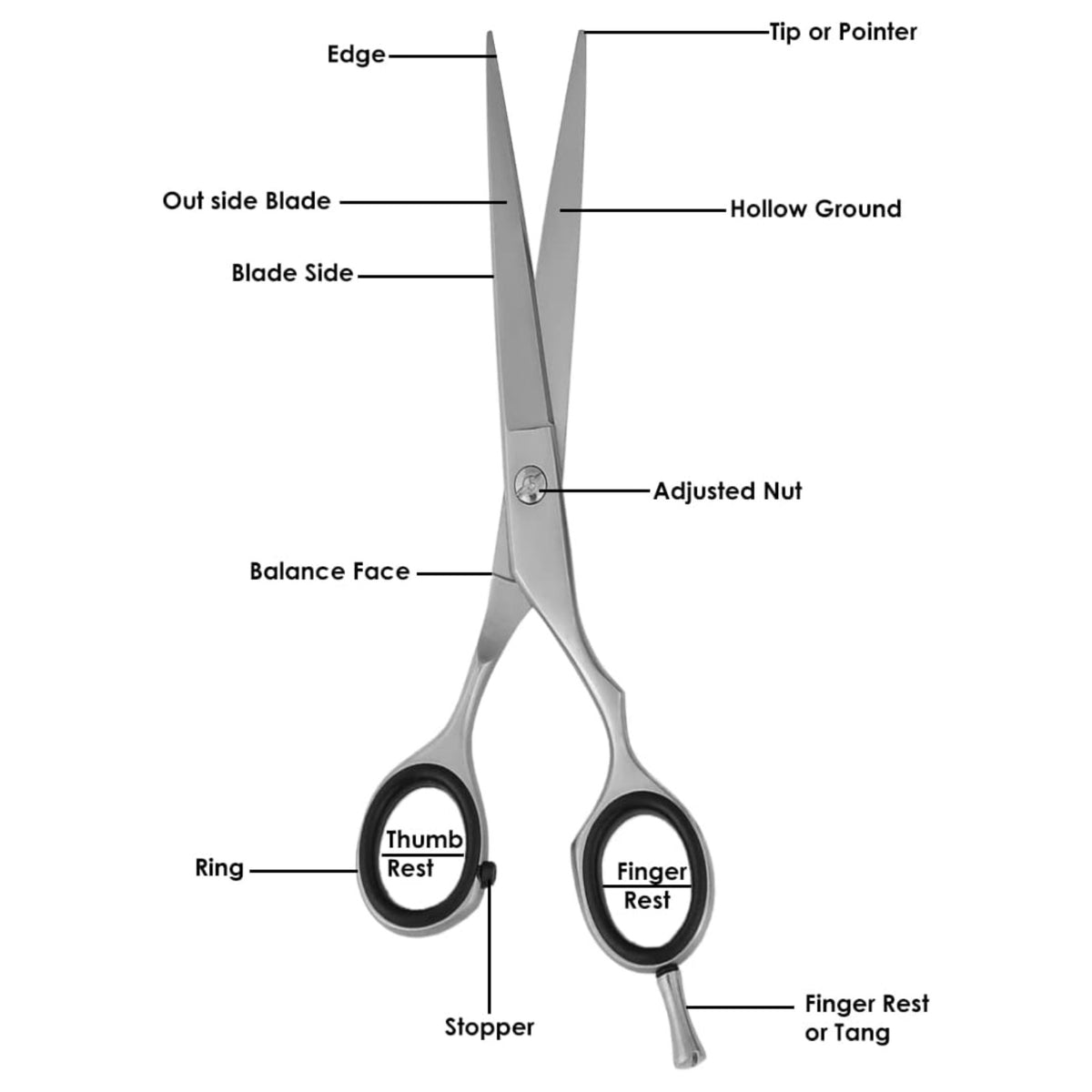 6.5-Inch Professional Hair Cutting Shears - Convex Edge Barber Scissors