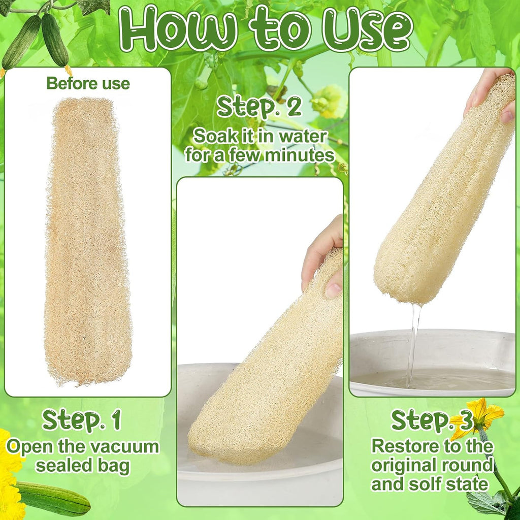 Natural Loofah Sponges 11.8-Inch 6-Pack, Organic Bath & Body Exfoliator