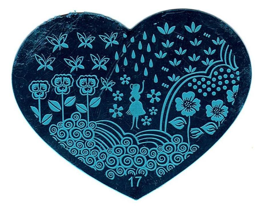 5 Pack Nail Art Stamping Plates Set Heart Design Manicure Tools