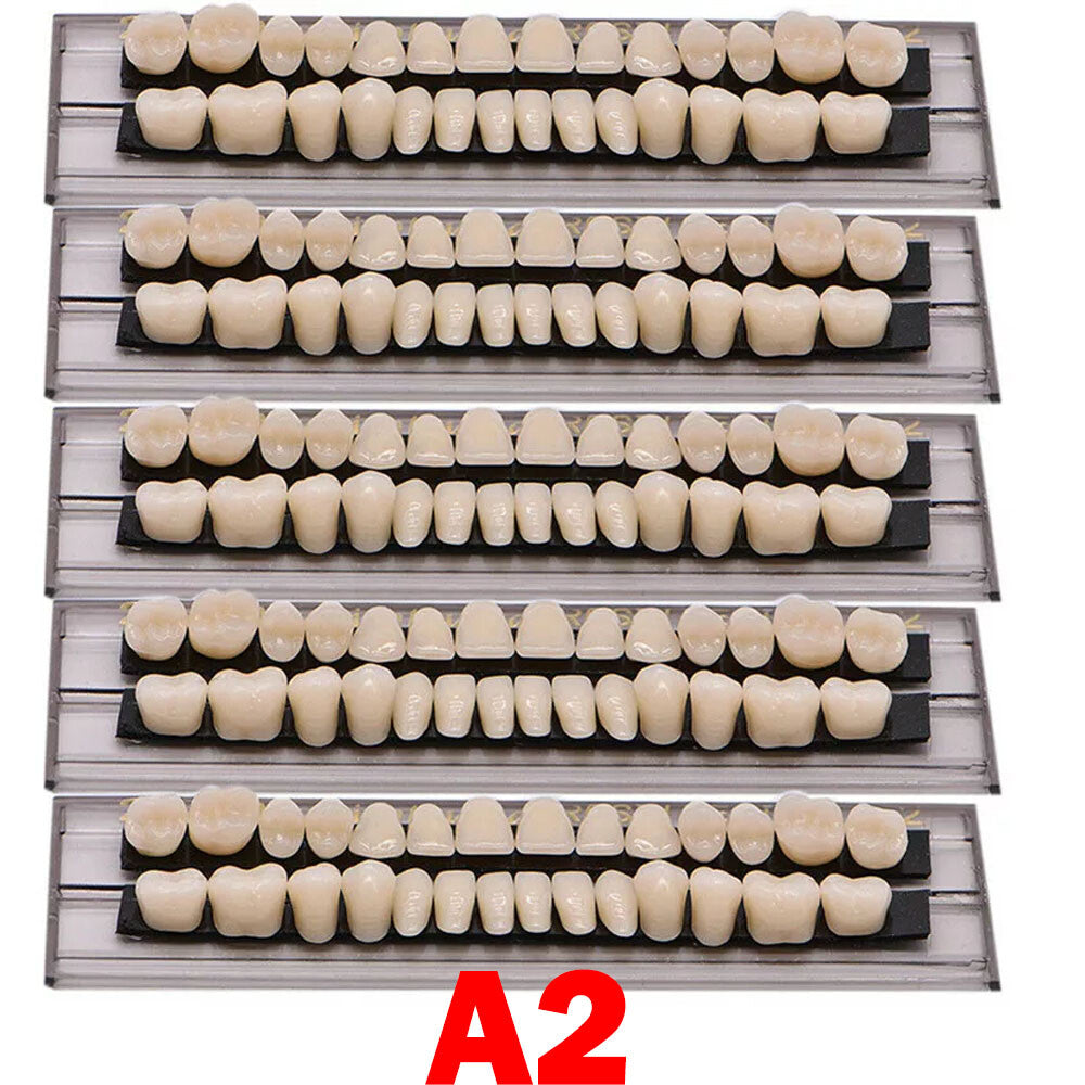 Denture Set 5 Pieces Acrylic Resin Full Upper & Lower Dentures - A2 A3 Shades