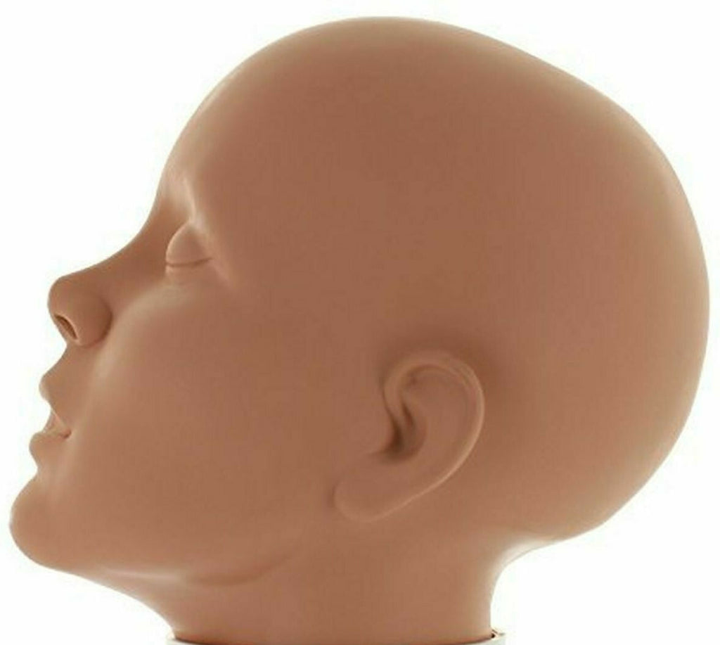 Practice Head for Makeup Artistry Vinyl Mannequin Face Study Tool