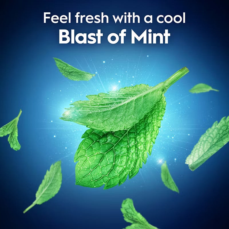 Dental Floss Picks Mint 300 Count - Fresh Breath Oral Care for Teeth & Gums