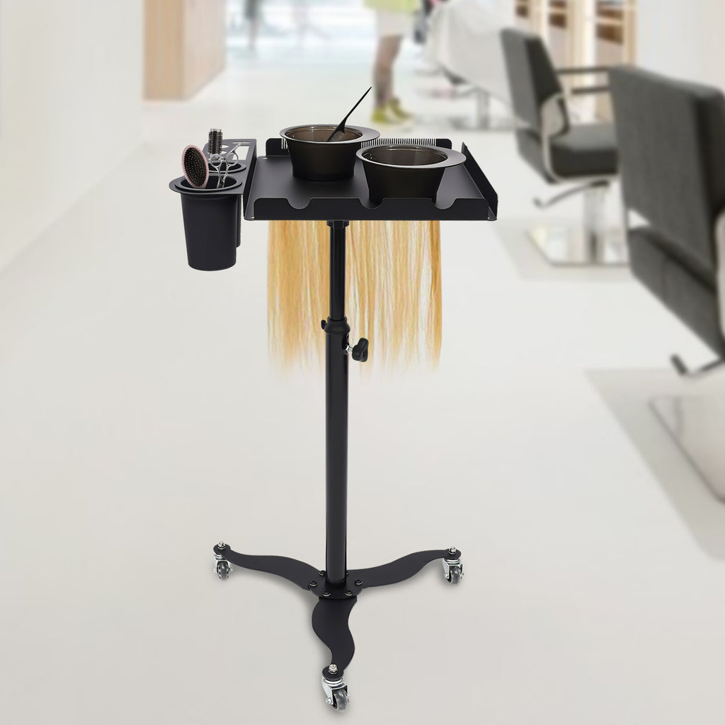Mobile Salon Hairdressing Cart with 2 Bowls & Rolling Service Tray, Stainless Steel
