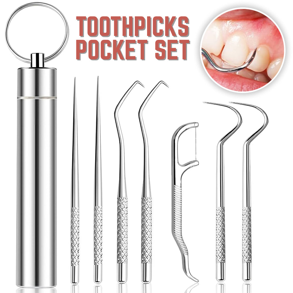 Reusable Stainless Steel Toothpicks Set Portable Teeth Cleaning Kit