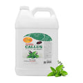 Professional Callus Remover for Feet - Mint & Eucalyptus, 1 Gallon