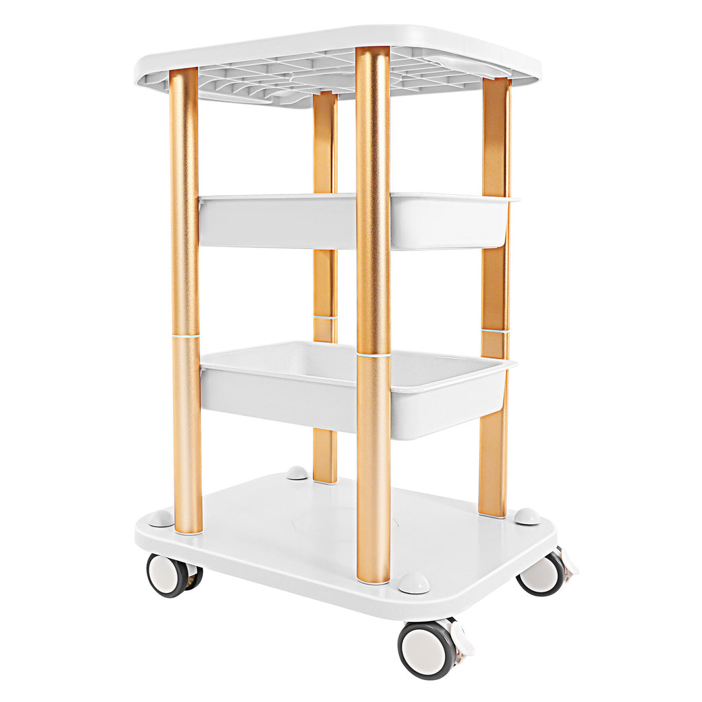 4-Tier Beauty Salon Rolling Cart Stand with Wheels for Spa Equipment Storage