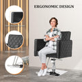 Hydraulic Barber Chair with 360° Swivel Salon Styling Seat for Hairdressers