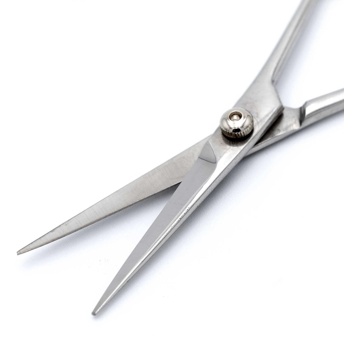 Pet Grooming Shears for Dogs and Cats - 7 Inch Stainless Steel Scissors
