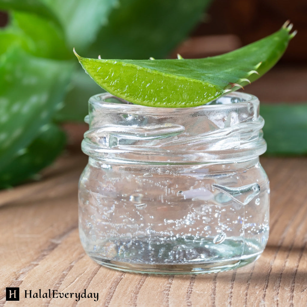 Pure Organic Aloe Vera Gel 8lbs for Skin Care Sunburn Relief & Moisturizer