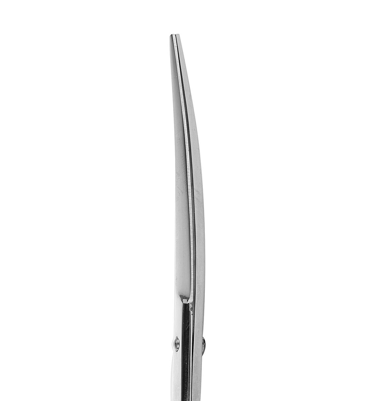 Pet Grooming Scissors 6.5 Inch Curved Shears for Precise Hair Trimming