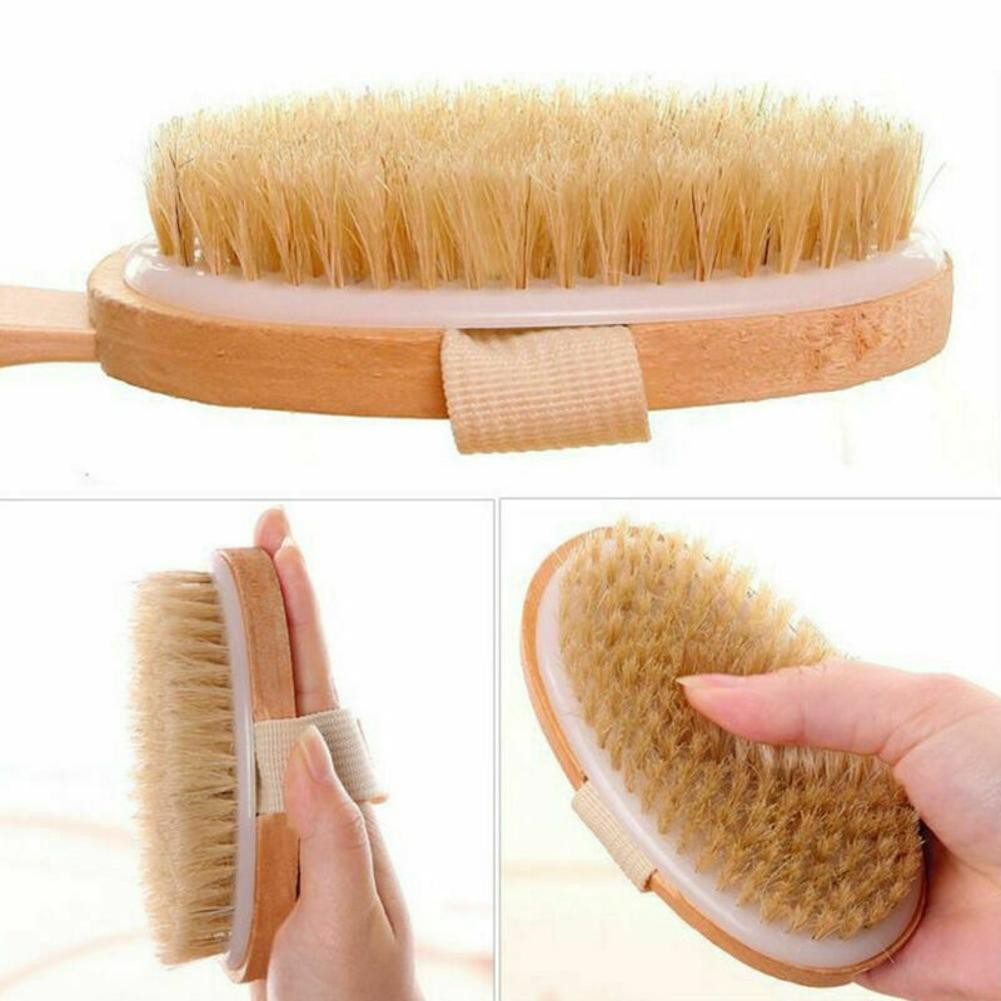 Natural Bristle Body Brush with Long Handle for Back Scrubbing - Eco-Friendly Spa Shower Tool