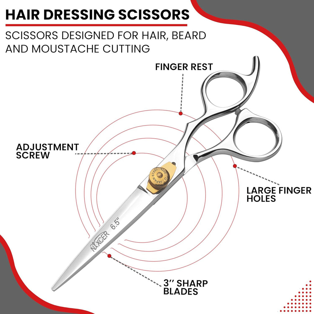 Professional Hair Cutting Scissors - 6.5 Inch Hairdressing Shears, Silver