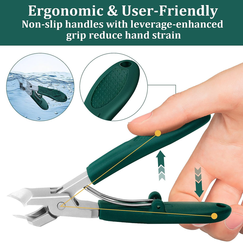 Eagle Beak Beveled Nail Clippers for Thick & Ingrown Nails - Sharp Stainless Steel
