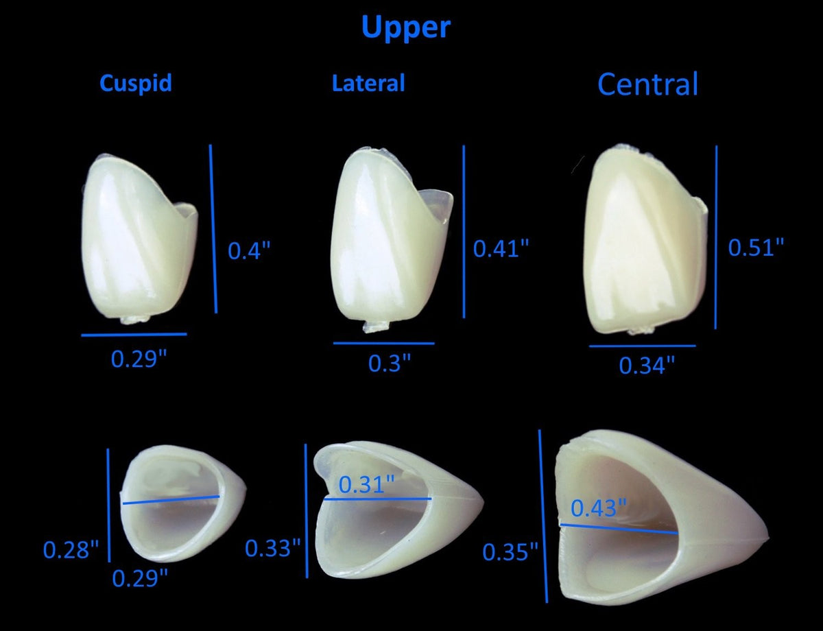 Mixed Dental Temporary Crown Kit for Anterior & Posterior Teeth - 100 Units