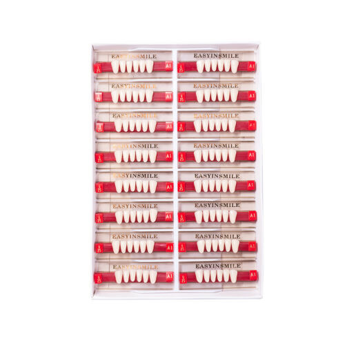 Full Set Acrylic Resin Dental Teeth for Dentures - Anterior & Posterior