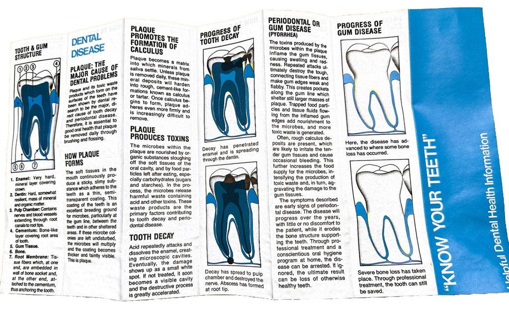Dental Floss Holder Set of 3 - Easy Grip, Full Wrap Flossing Aid