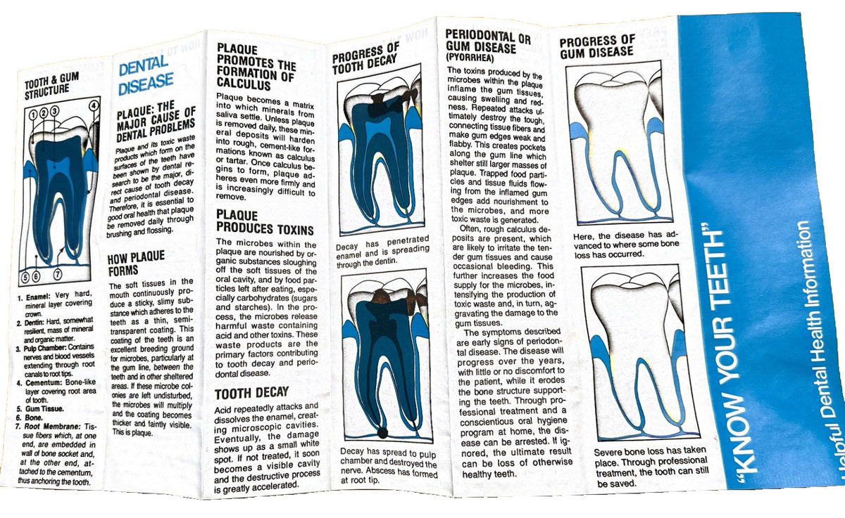 Dental Floss Holder Set of 3 - Easy Grip, Full Wrap Flossing Aid