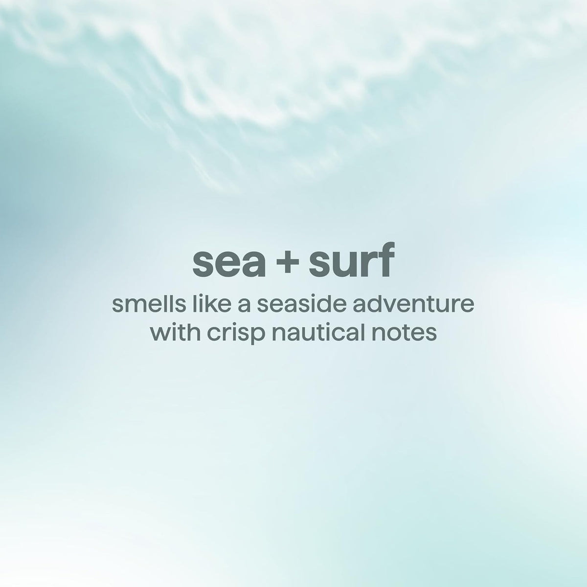 Men's Body Wash 18oz - Sea + Surf Scent, Gentle & Moisturizing