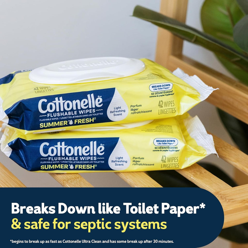 Summer Fresh Scented Flushable Wipes - 2 Packs, 42 Wipes Each