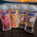 Hydrating & Luxurious Body Wash Pack of 4 - Coconut, Peach, Macadamia & Strawberries